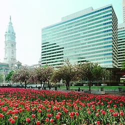Center City