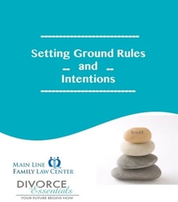 prepare-for-divorce-emotional-guidebook.cvr1-1